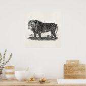 Lion Illustration - 1800's African Animal Poster (Keuken)