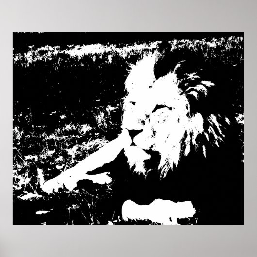 Lion in Black and White Poster (Voorkant)
