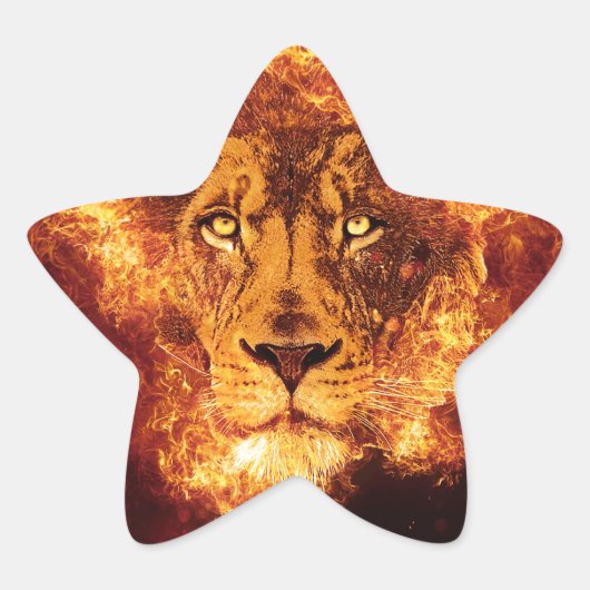 Lion in brand ster sticker (Voorkant)