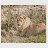 LION IN DE GRAS CADEAUPAPIER (Vlak)