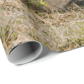 LION IN DE GRAS CADEAUPAPIER (Rol Hoek)