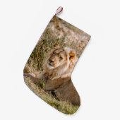 LION IN DE GRAS KLEINE KERSTSOK (Voorkant (Hangend))