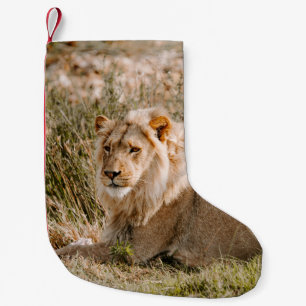 LION IN DE GRAS KLEINE KERSTSOK