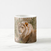 LION IN DE GRAS KOFFIEMOK (Center)