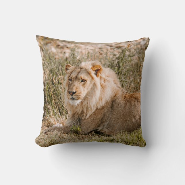 LION IN DE GRAS KUSSEN (Voorkant)
