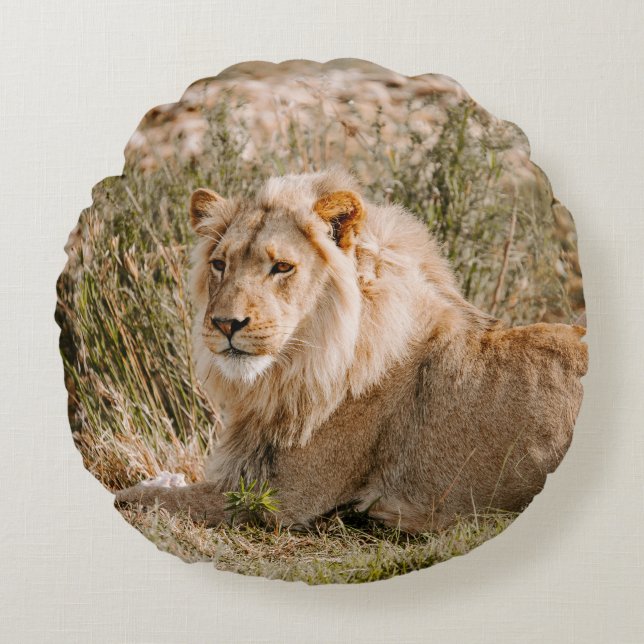LION IN DE GRAS ROND KUSSEN (Voorkant)