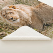 LION IN DE GRAS SHERPA DEKEN (3/4)