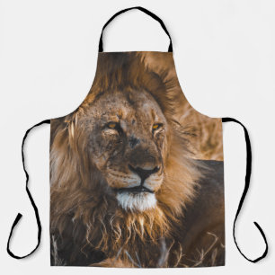 LION IN ETOSHA NATIONAAL PARK SCHORT