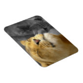 Lion in Love Magneet (Rechterzijde)