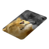 Lion in Love Magneet (Linkerzijde)