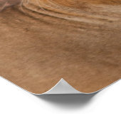 Lion in Love Poster (Hoek)