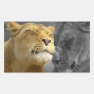 Lion in Love Rechthoekige Sticker