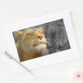 Lion in Love Rechthoekige Sticker (Envelop)