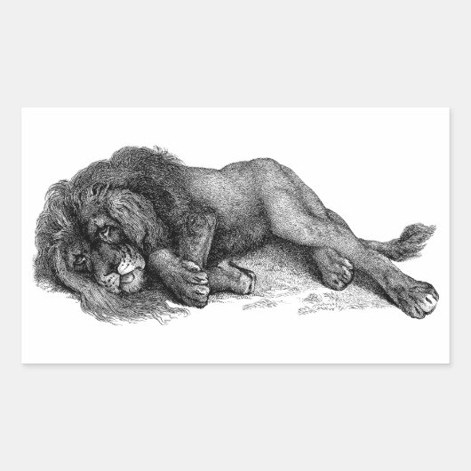 Lion in vectormodus rechthoekige sticker (Voorkant)