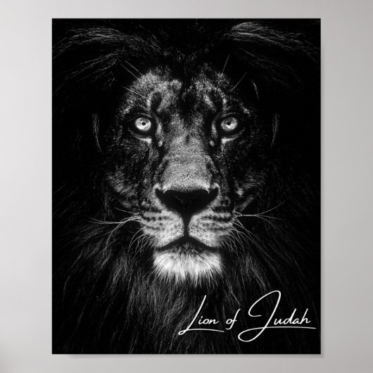Lion Judah - Christelijk Poster (Voorkant)