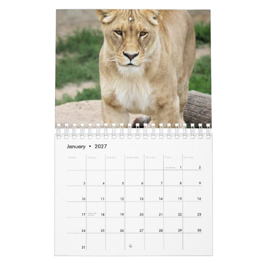 Lion Kalender (Jan 2027)