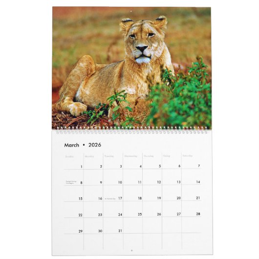 lion kalender (Mar 2026)