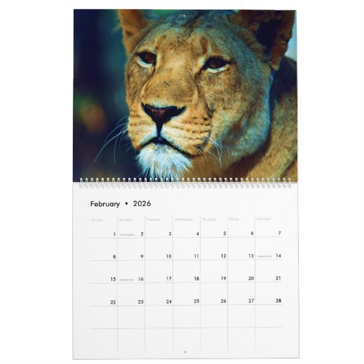 lion  kalender (Feb 2026)