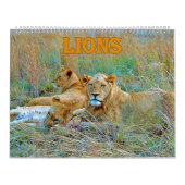 lion kalender (Hoes)