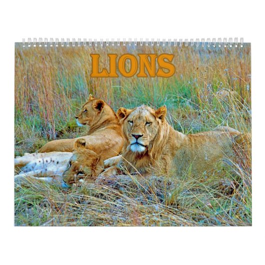 lion kalender (Hoes)