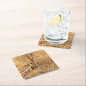 Lion Kartonnen Onderzetters (Insitu)