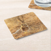 Lion Kartonnen Onderzetters (Schuin)