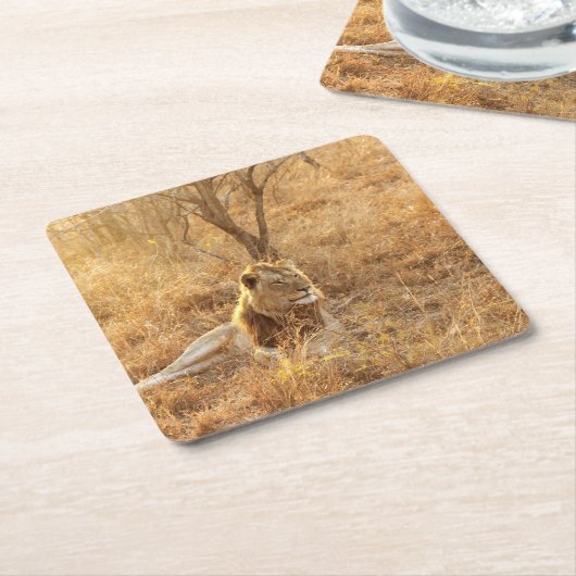 Lion Kartonnen Onderzetters (Schuin)