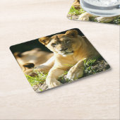 Lion Kartonnen Onderzetters (Schuin)