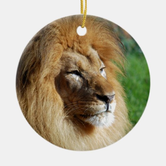 Lion Keramisch Ornament (Voorkant)