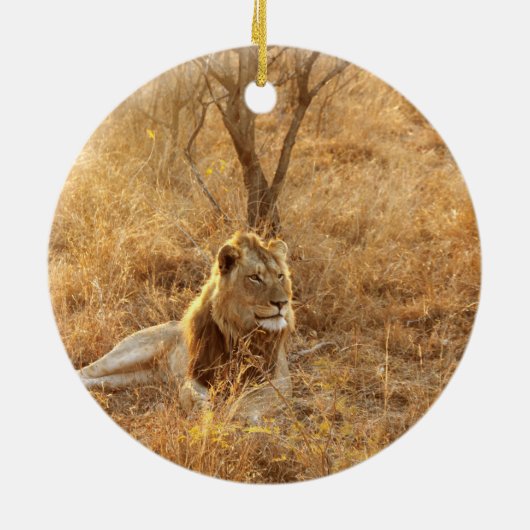 Lion Keramisch Ornament (Achterkant)