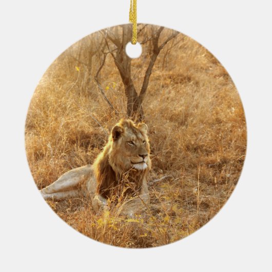 Lion Keramisch Ornament (Achterkant)