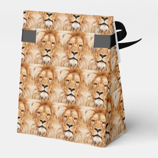 Lion King Bedankdoosjes (Achterkant)