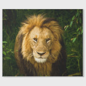 LION KING IN HET OERWOUD CADEAUPAPIER (Vlak)