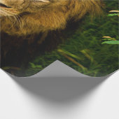 LION KING IN HET OERWOUD CADEAUPAPIER (Hoek)