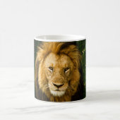 LION KING IN HET OERWOUD KOFFIEMOK (Center)