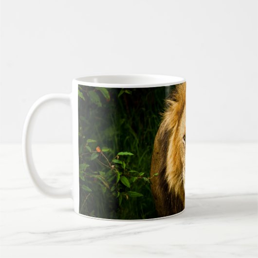 LION KING IN HET OERWOUD KOFFIEMOK (Links)