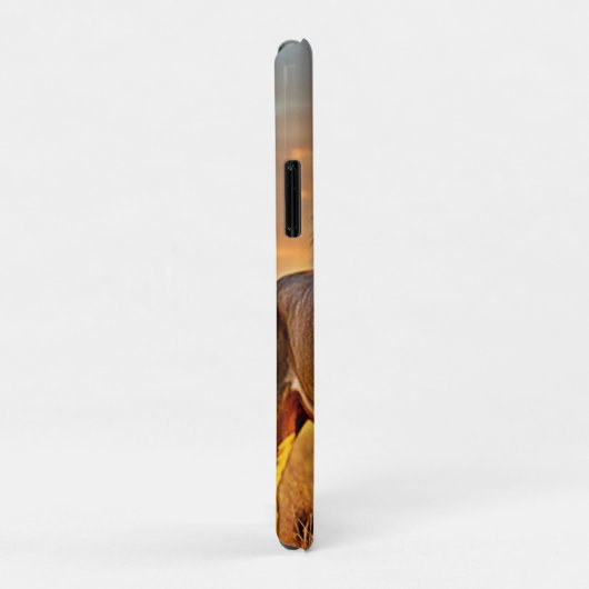 Lion King Savanna Sunset Design Case-Mate iPhone Case (Achterkant/rechts)