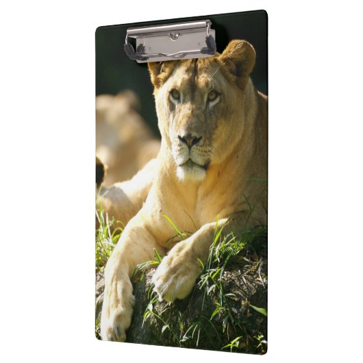 Lion Klembord (Links)