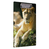 Lion Klembord (Rechts)