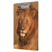 Lion Klembord (Links)