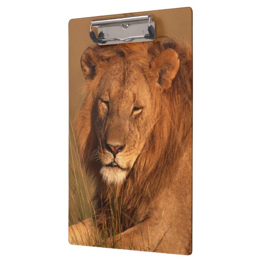 Lion Klembord (Links)