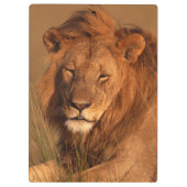 Lion Klembord (Achterkant)