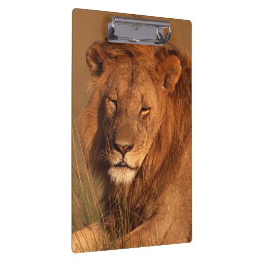 Lion Klembord (Rechts)