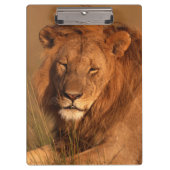 Lion Klembord (Voorkant)