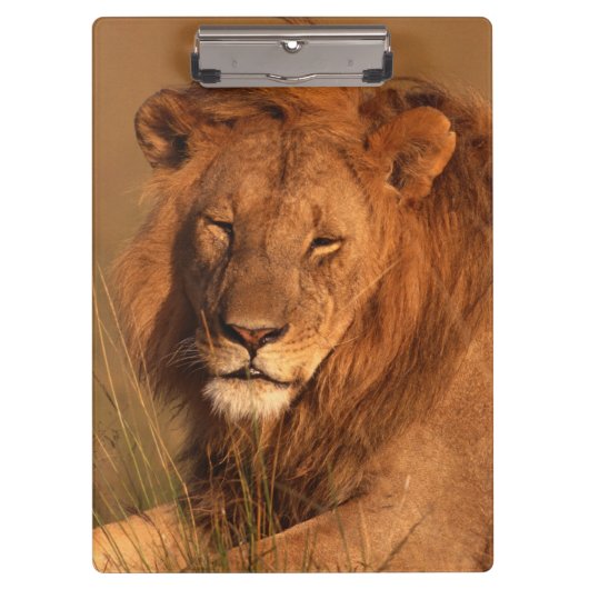 Lion Klembord (Voorkant)