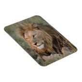 LION-koelkast Magnet UW fotosjabloon Magneet (Rechterzijde)