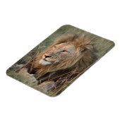 LION-koelkast Magnet UW fotosjabloon Magneet (Linkerzijde)