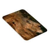 LION-koelkast Magnet UW fotosjabloon Magneet (Rechterzijde)