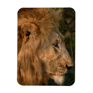 LION-koelkast Magnet UW fotosjabloon Magneet
