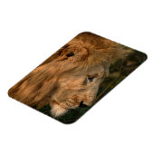 LION-koelkast Magnet UW fotosjabloon Magneet (Linkerzijde)